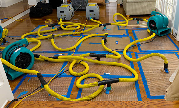Professional Crawl Space Water Removal technician working in Thaxton, MS